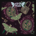Plum Belladonna Frames