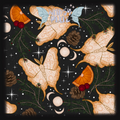 Charcoal Winter Moths