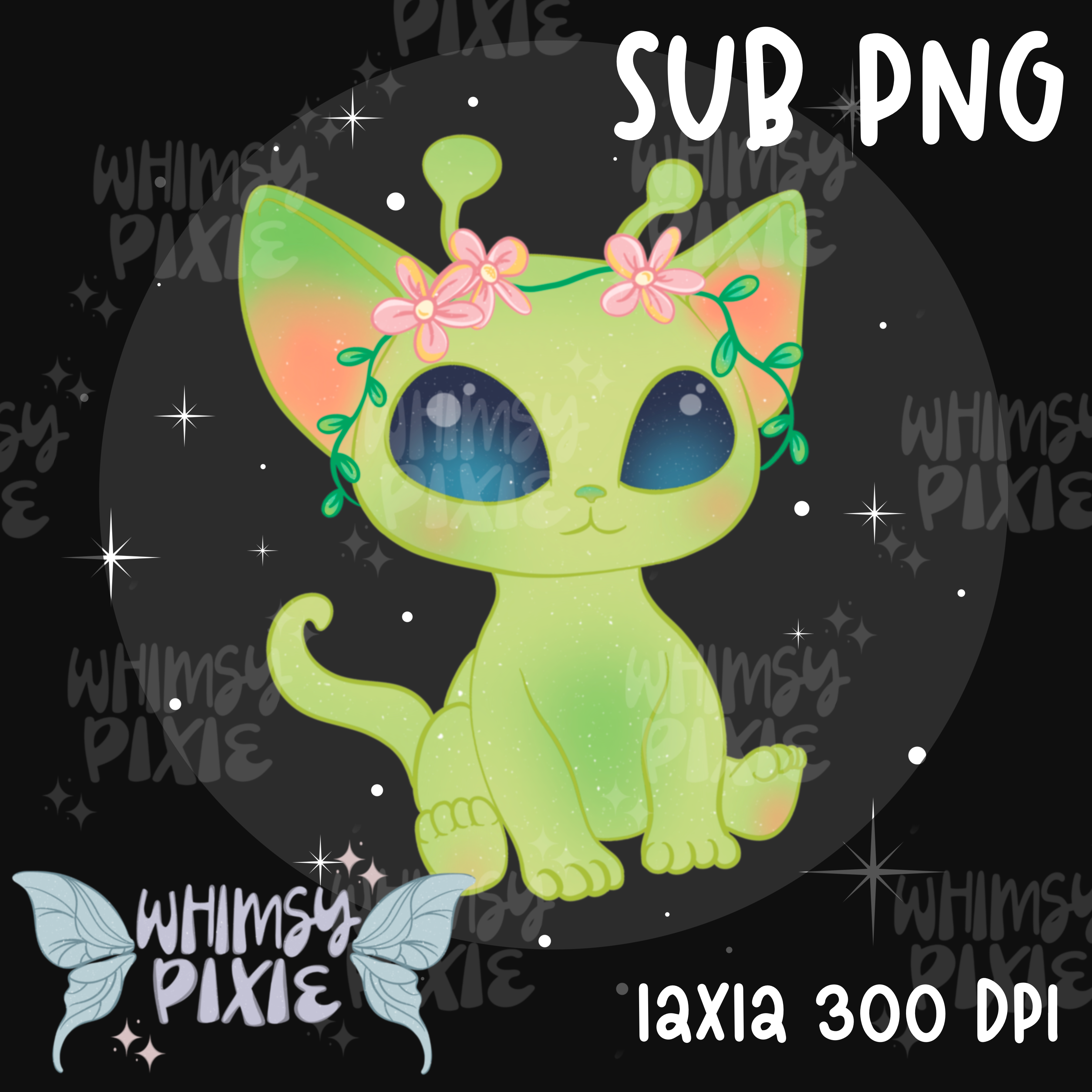 Space Kitty Sub PNG